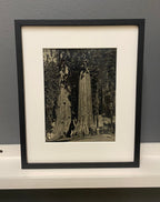 Custom Framing Form
